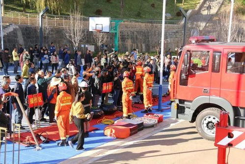 場面這么大,究竟有什么吸引了這么多人